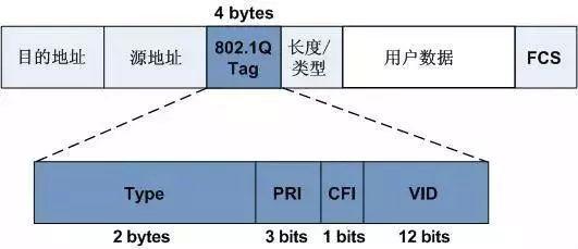成人深夜网站的VLAN技術