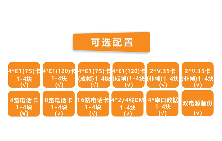 深夜成人视频科技-模塊化多業務  TDM Over IP  電路仿真網關